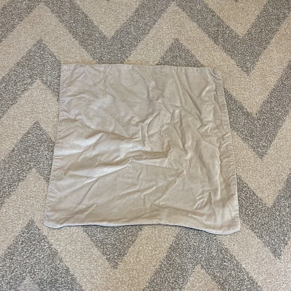 Throw Pillow Cover